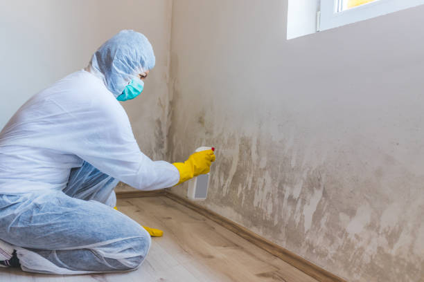 Hvac And Air Duct Mold Remediation inspection of HVAC system in Paris